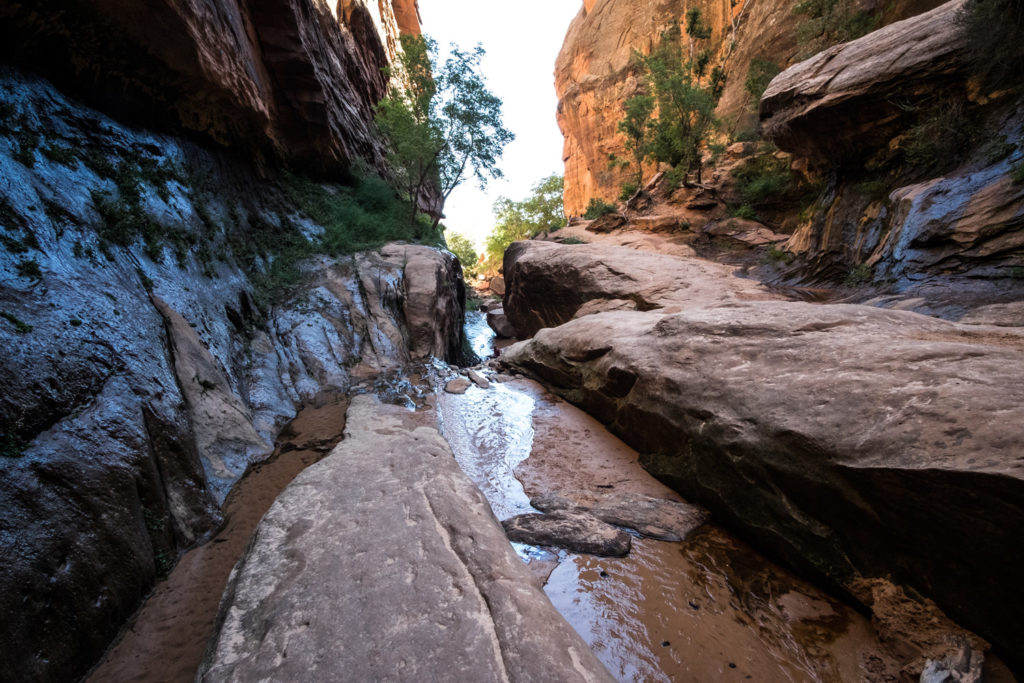 Water running down a narrow area of a canyon