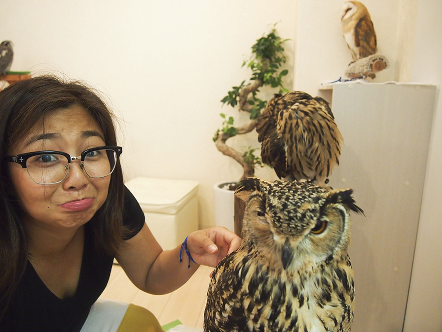 Utter happiness petting owls