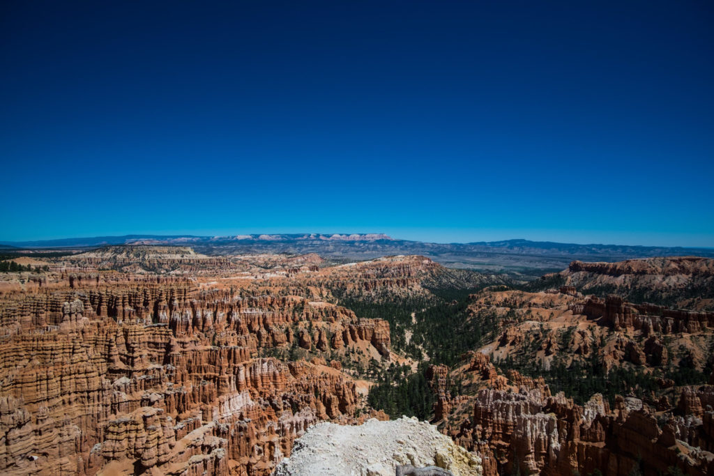 Bryce Canyon hoodoos and blue blue sky.