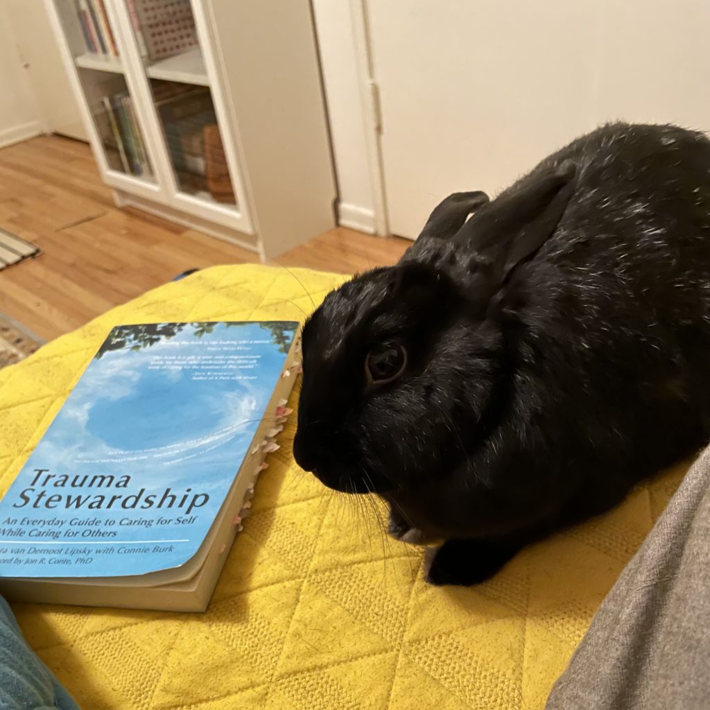 Chug (rabbit) next to Trauma Stewardship book on a bed.